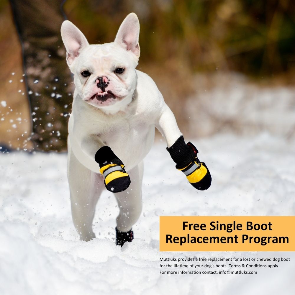 Original All-Weather Muttluks