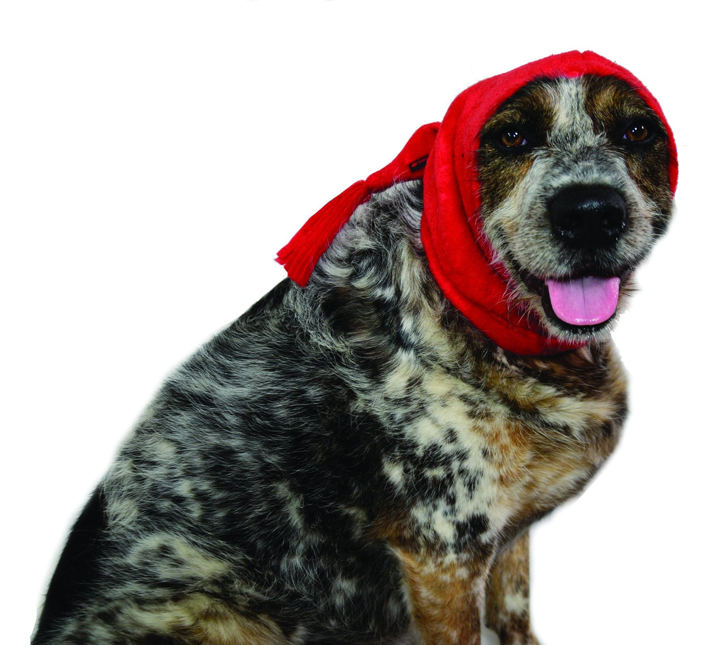 MuTTuque